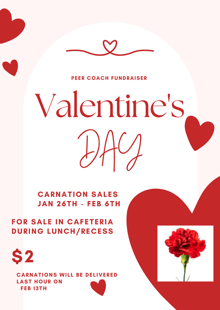 Carnation Sales