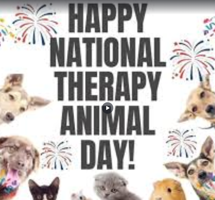 National Therapy Animal Day!