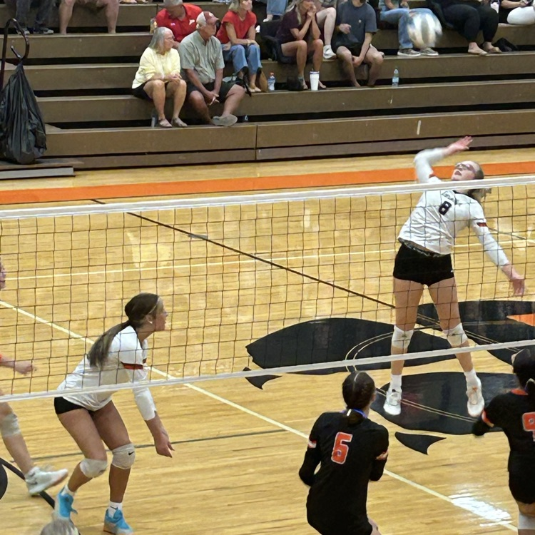 vball