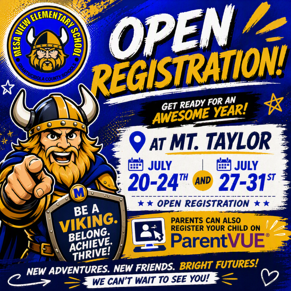 MSV Open Registration