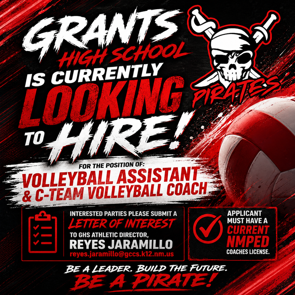 Volleyball Coach