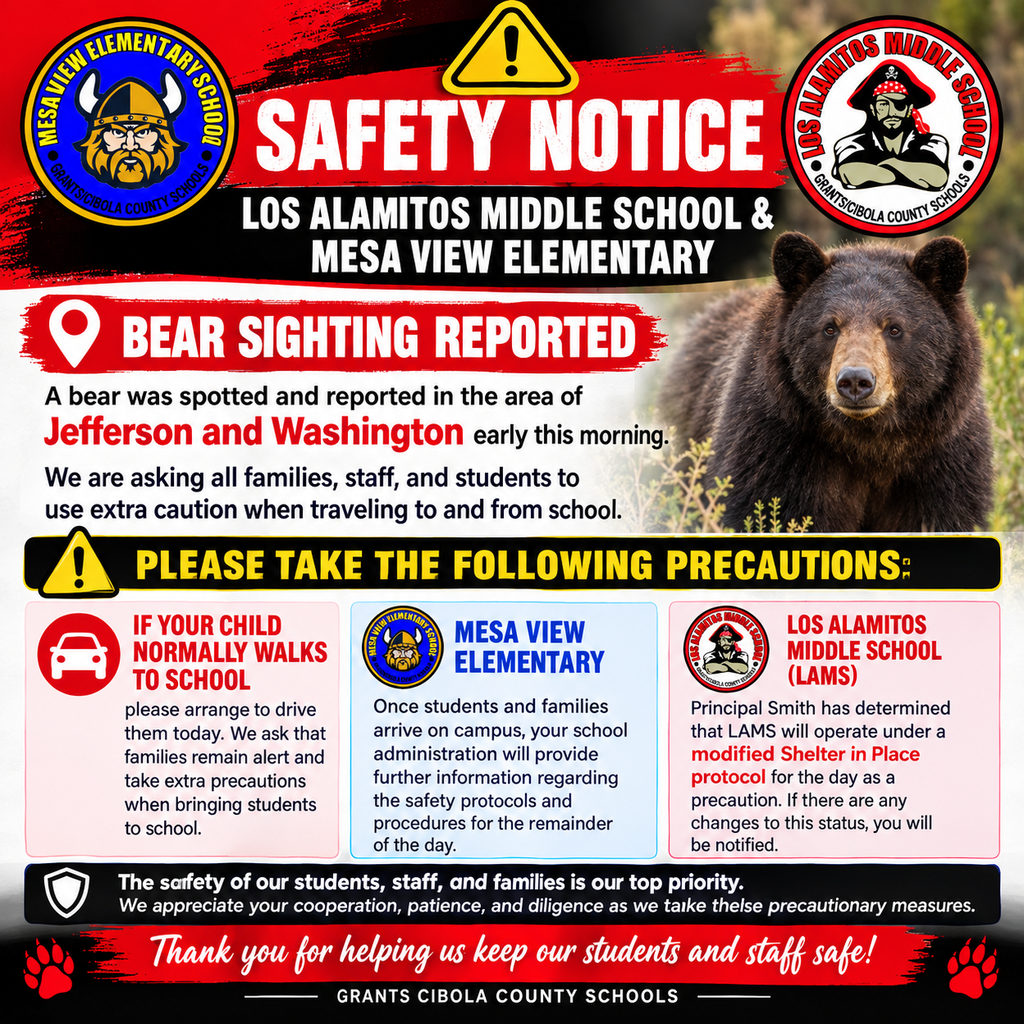 bear sighting