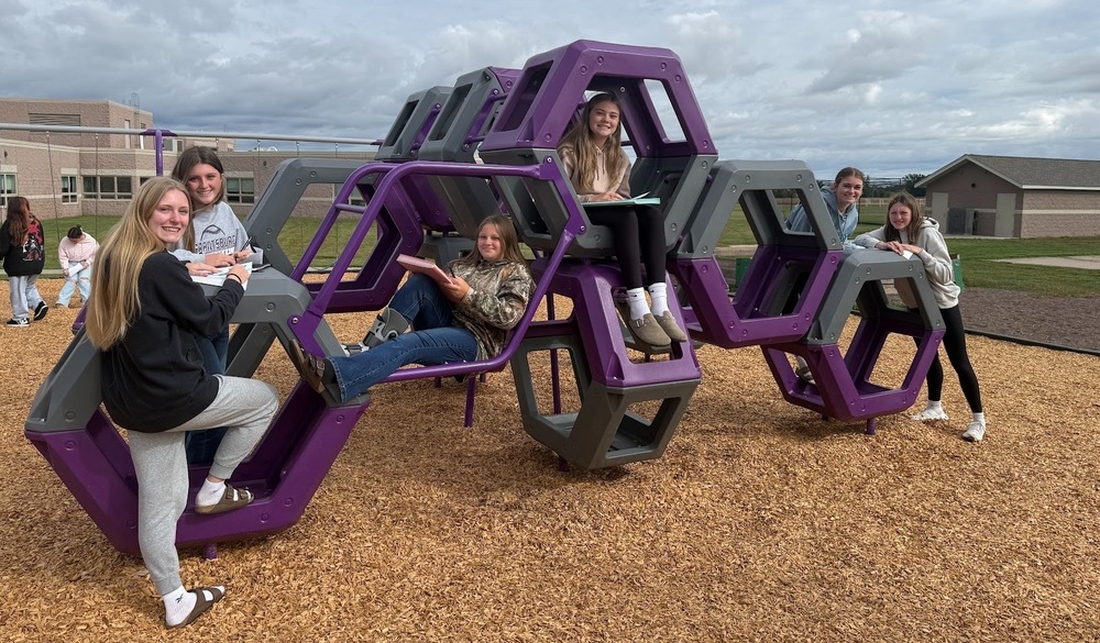 Playground audit photo