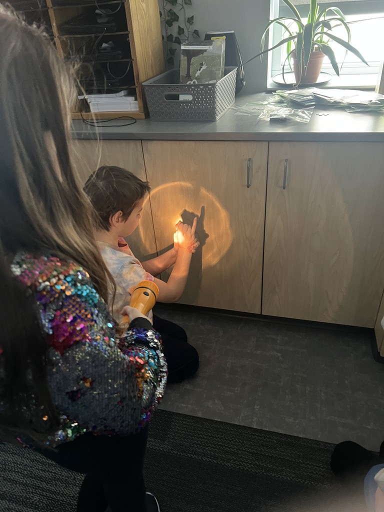 Light and Sound Unit