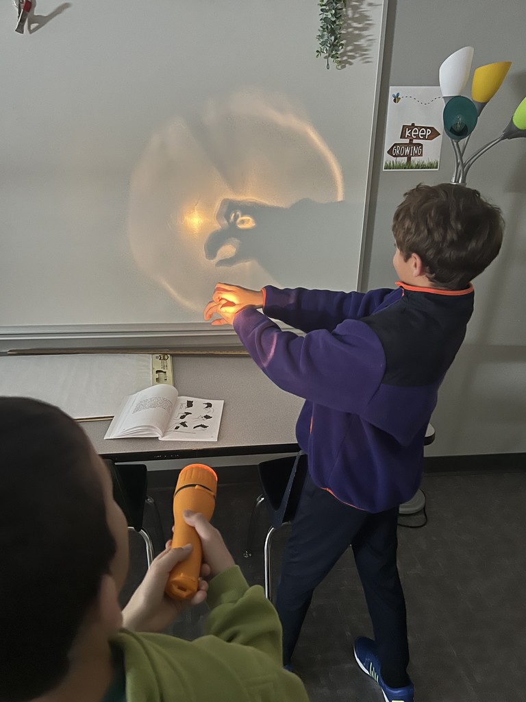 Light and Sound Unit