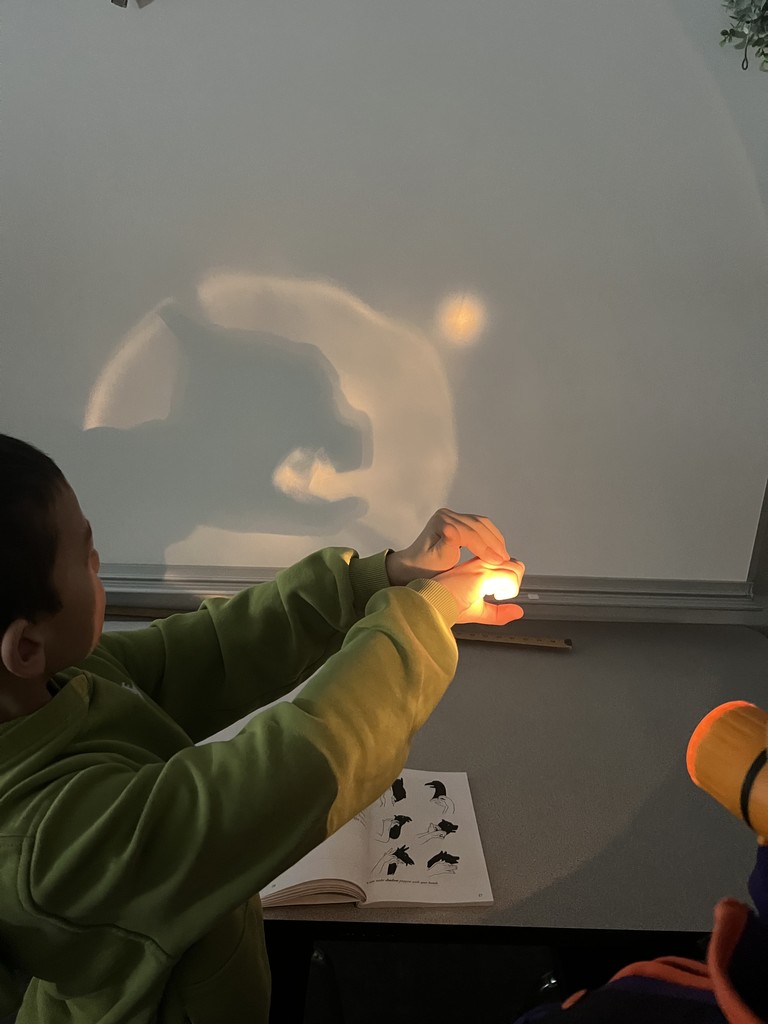 Light and Sound Unit