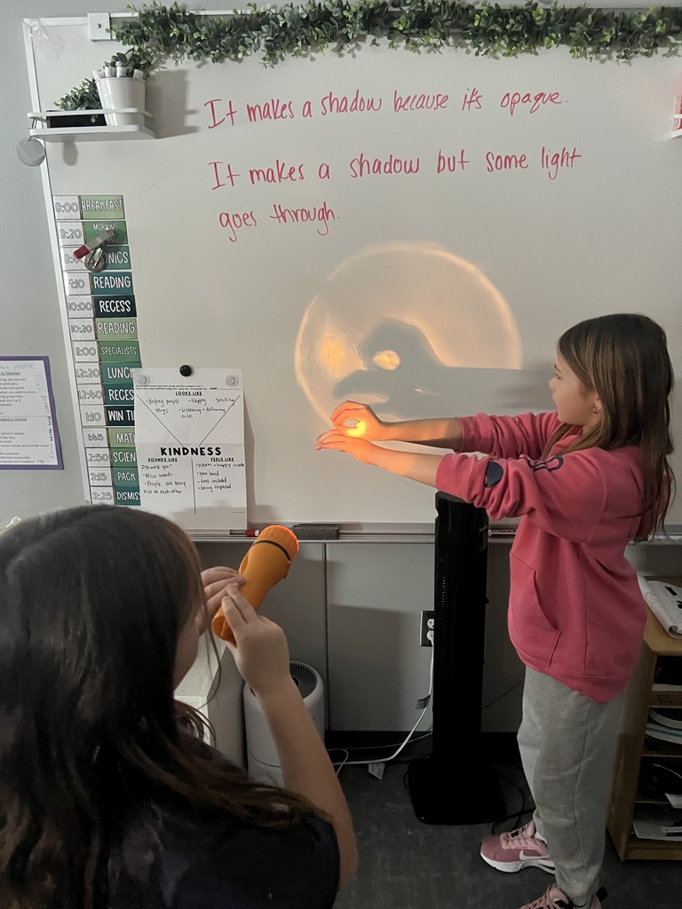 Light and Sound Unit