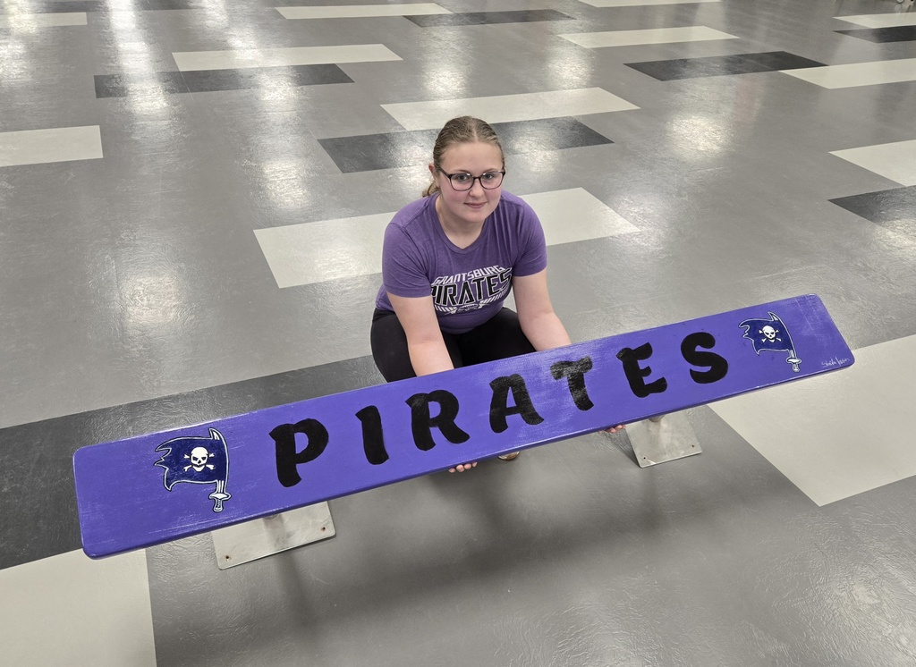 Stacie Hansen_painted bench_lockerroom