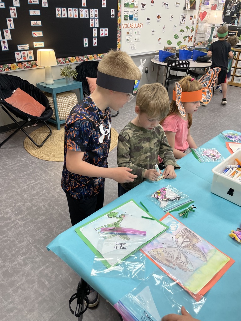 2nd Grade Insect Experts!