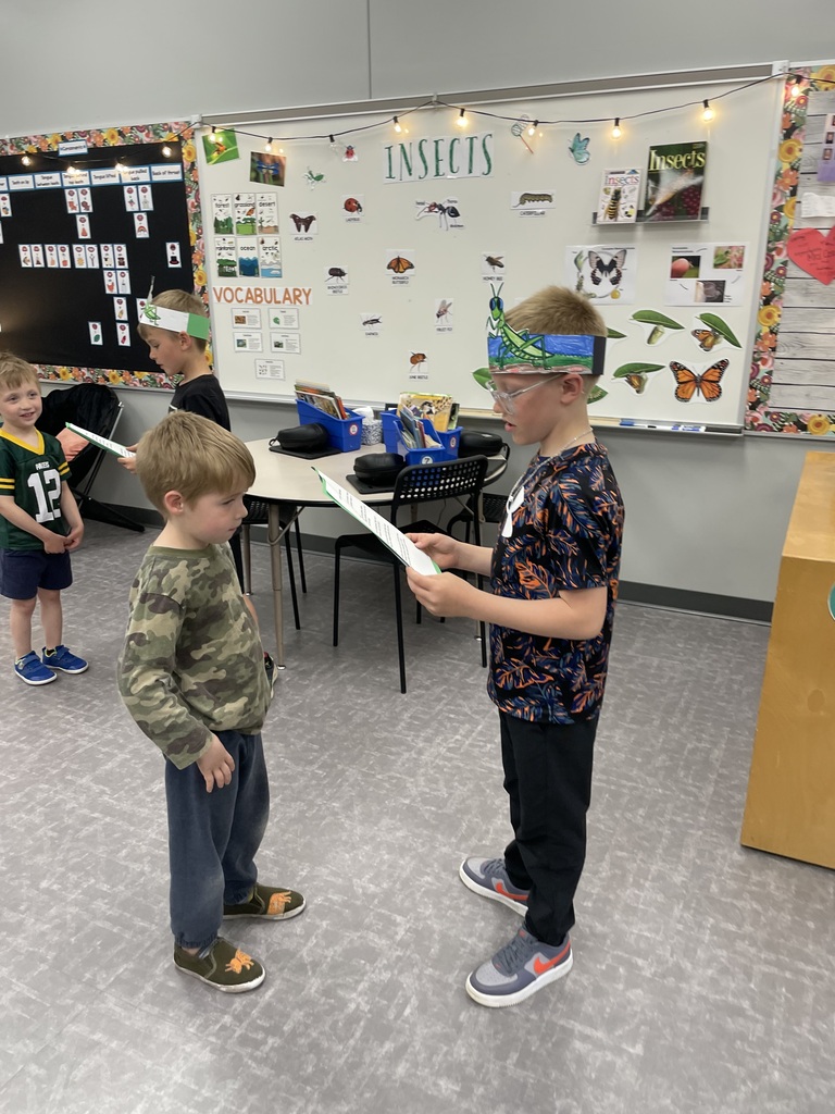 2nd Grade Insect Experts!