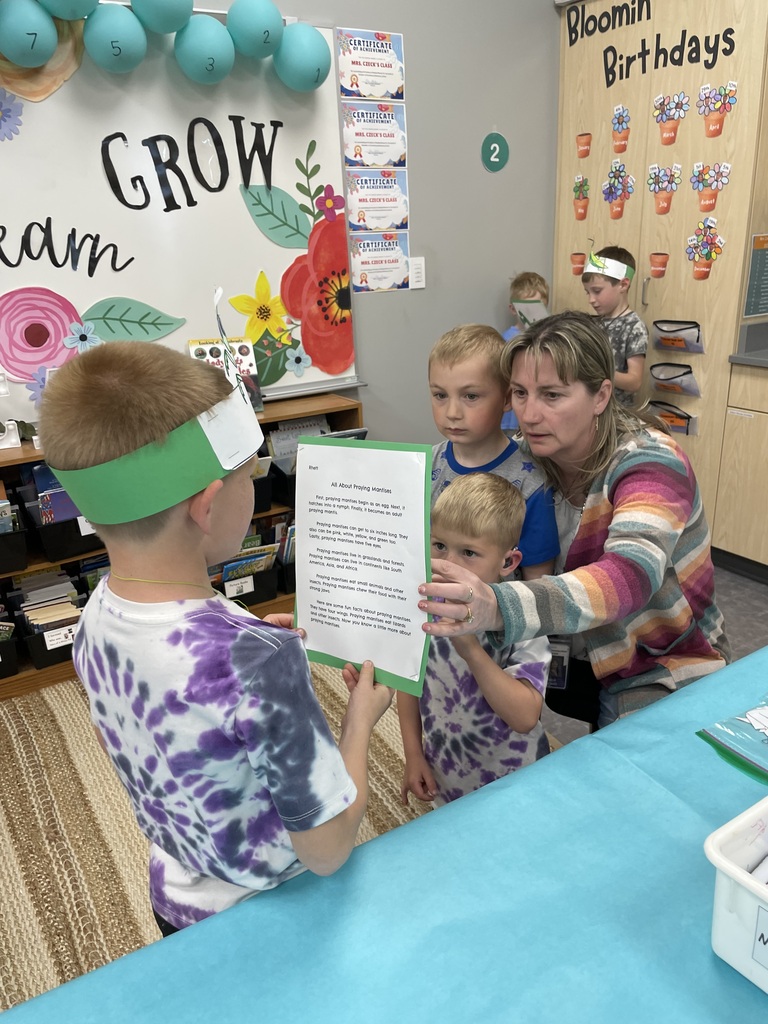 2nd Grade Insect Experts!