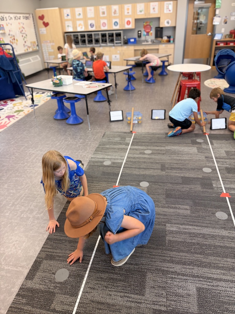 2nd Grade Engineering!
