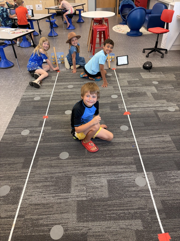 2nd Grade Engineering!