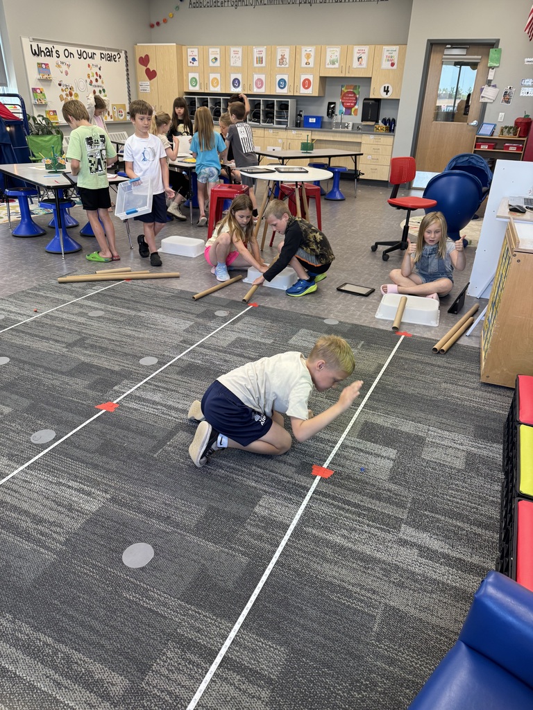 2nd Grade Engineering!
