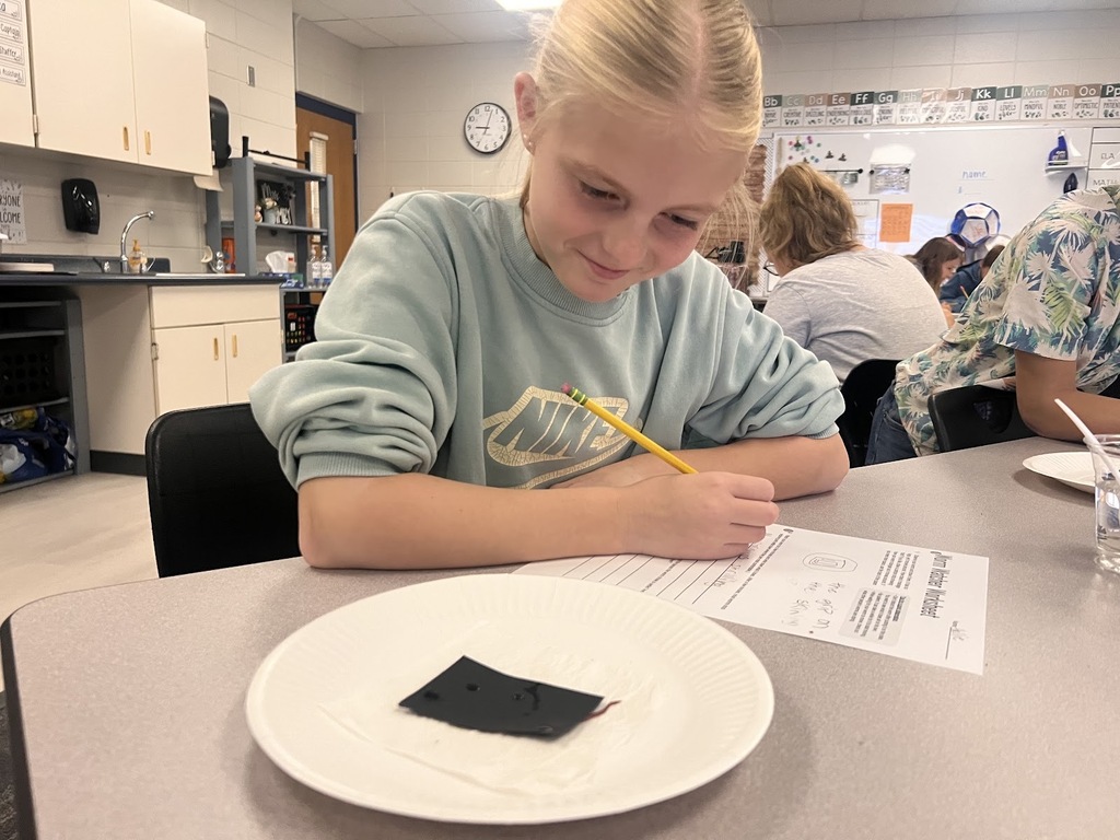Grade 5 students working on Science photo