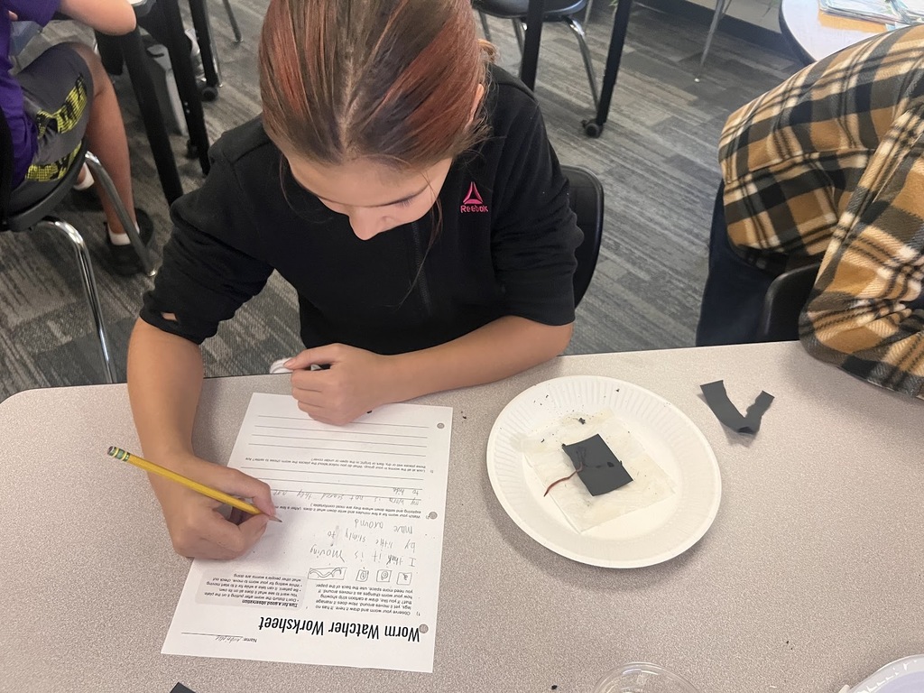 Grade 5 students working on Science photo
