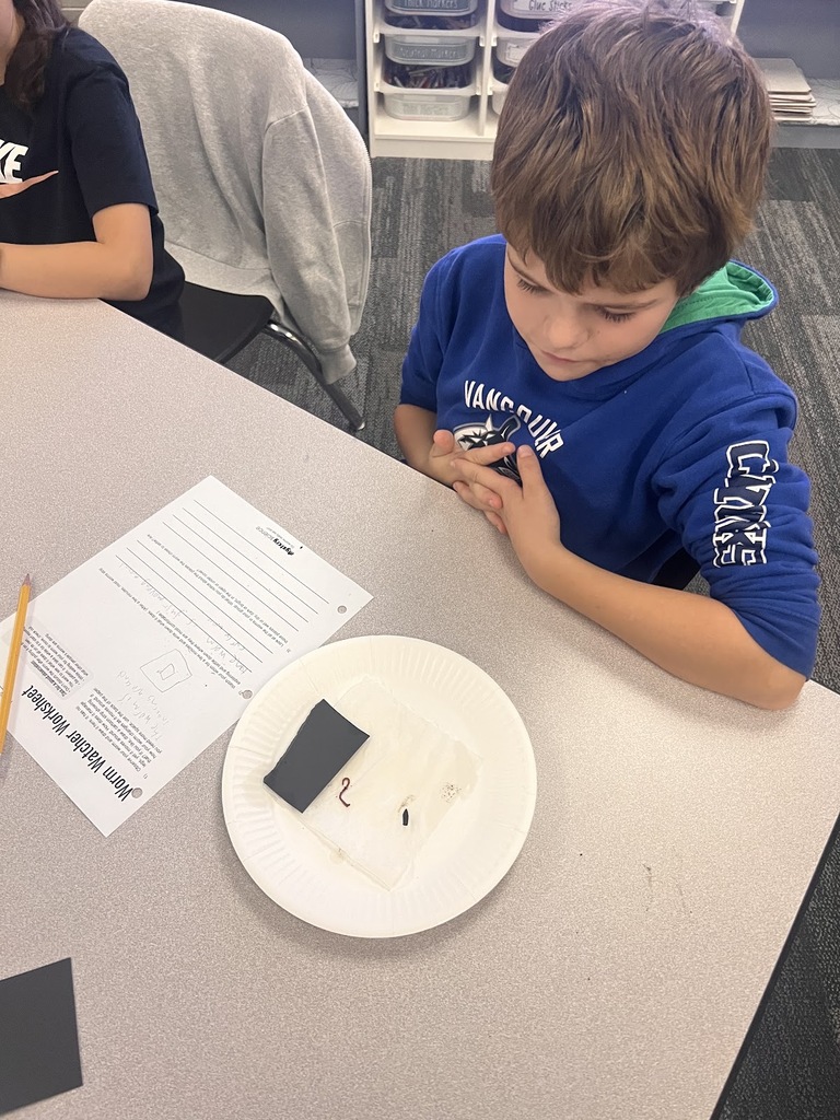 Grade 5 students working on Science photo