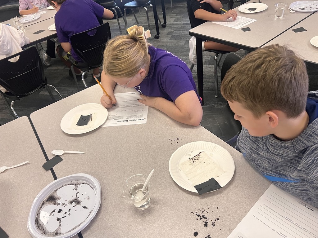 Grade 5 students working on Science photo