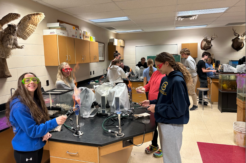 Students working in science lab.