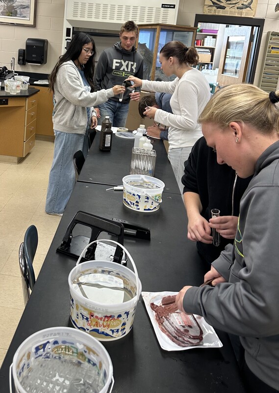 studying enzymes photo