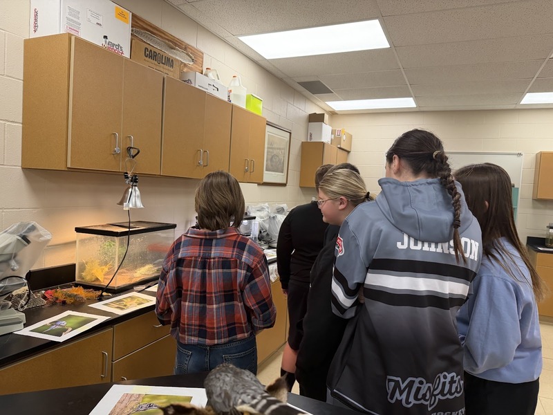Grade 8 tours GHS