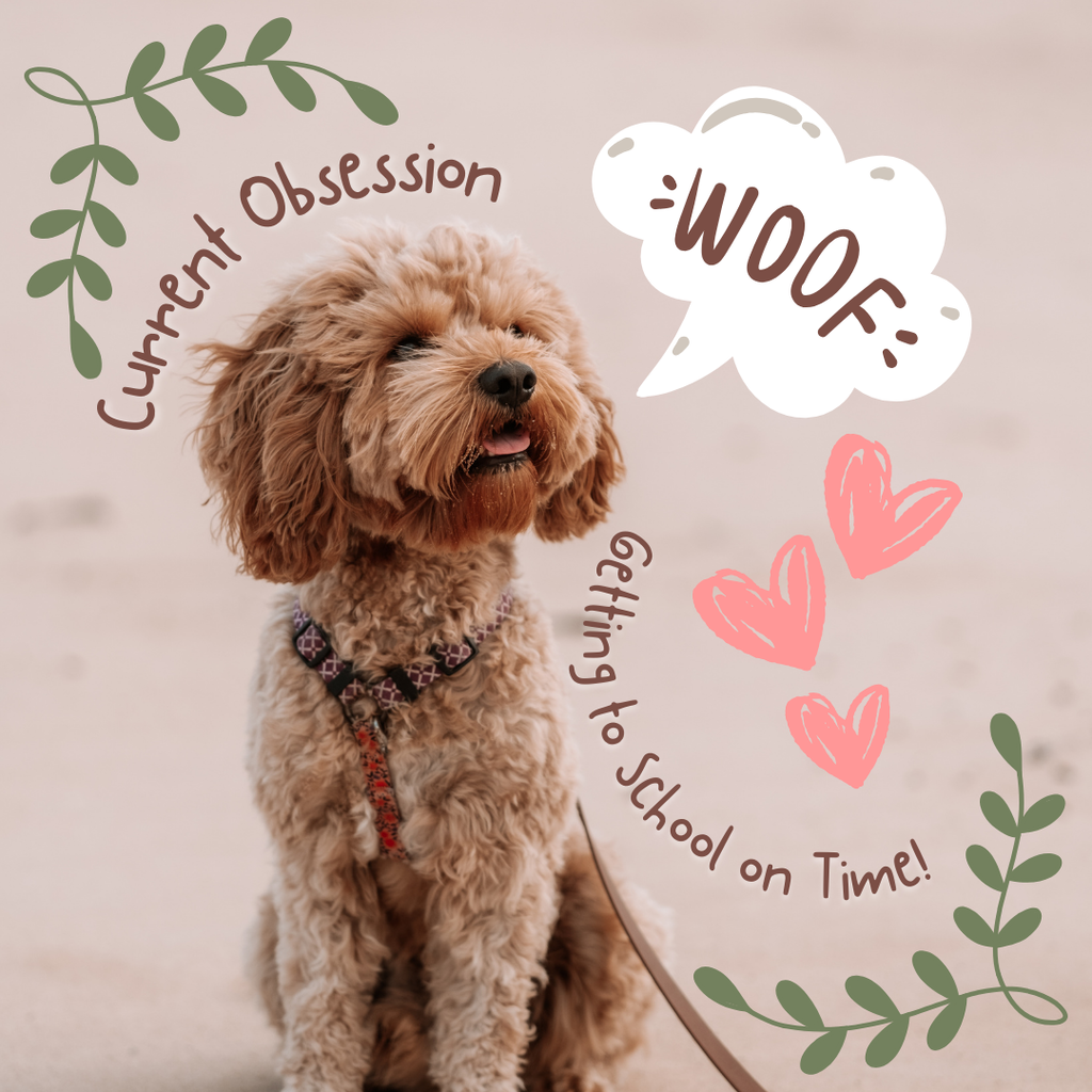 A picture of a brown dog and the words "Woof! Current Obsession: Getting to school on time!"
