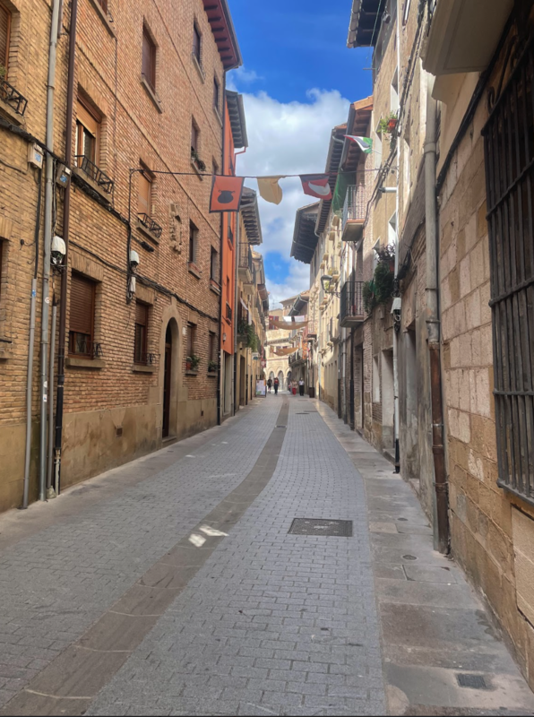 Mr. Ward's picture - Camino trail through a small town