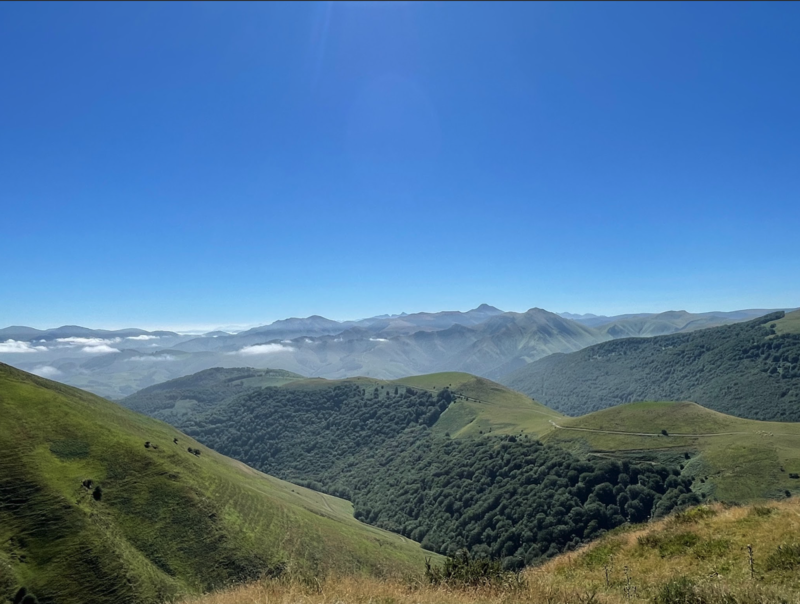 Mr Ward Picture - camino trail in the lush green mountains