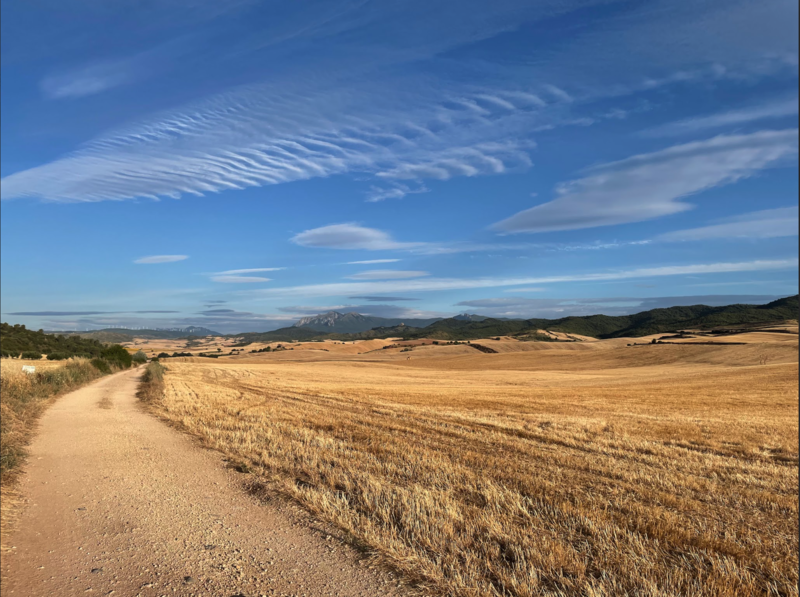 mr ward picture - camino trail through drylands