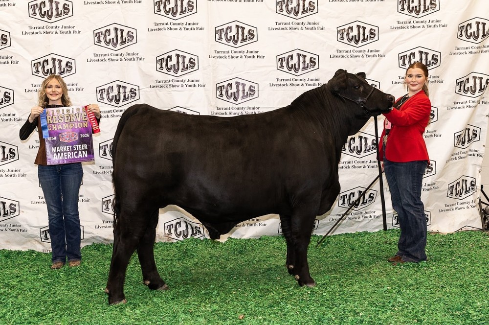 FFA winner with steer