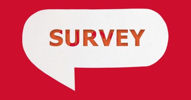 Survey logo