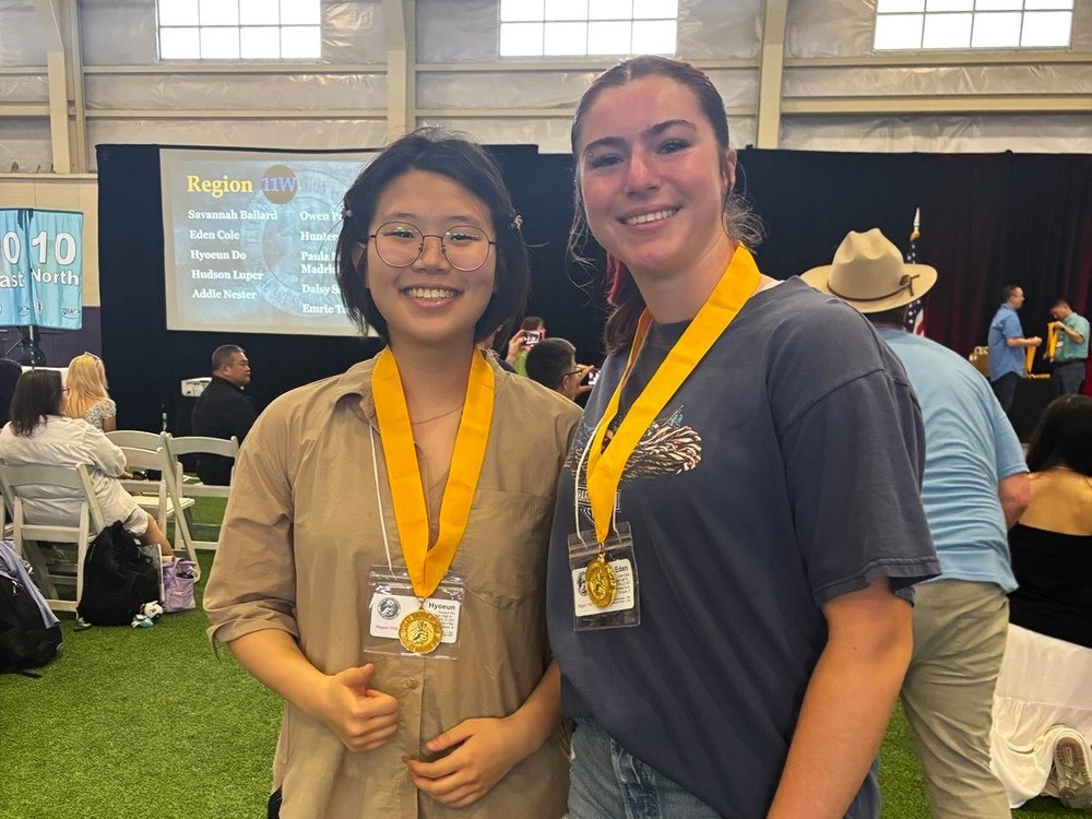 VASE Gold Seal Winners