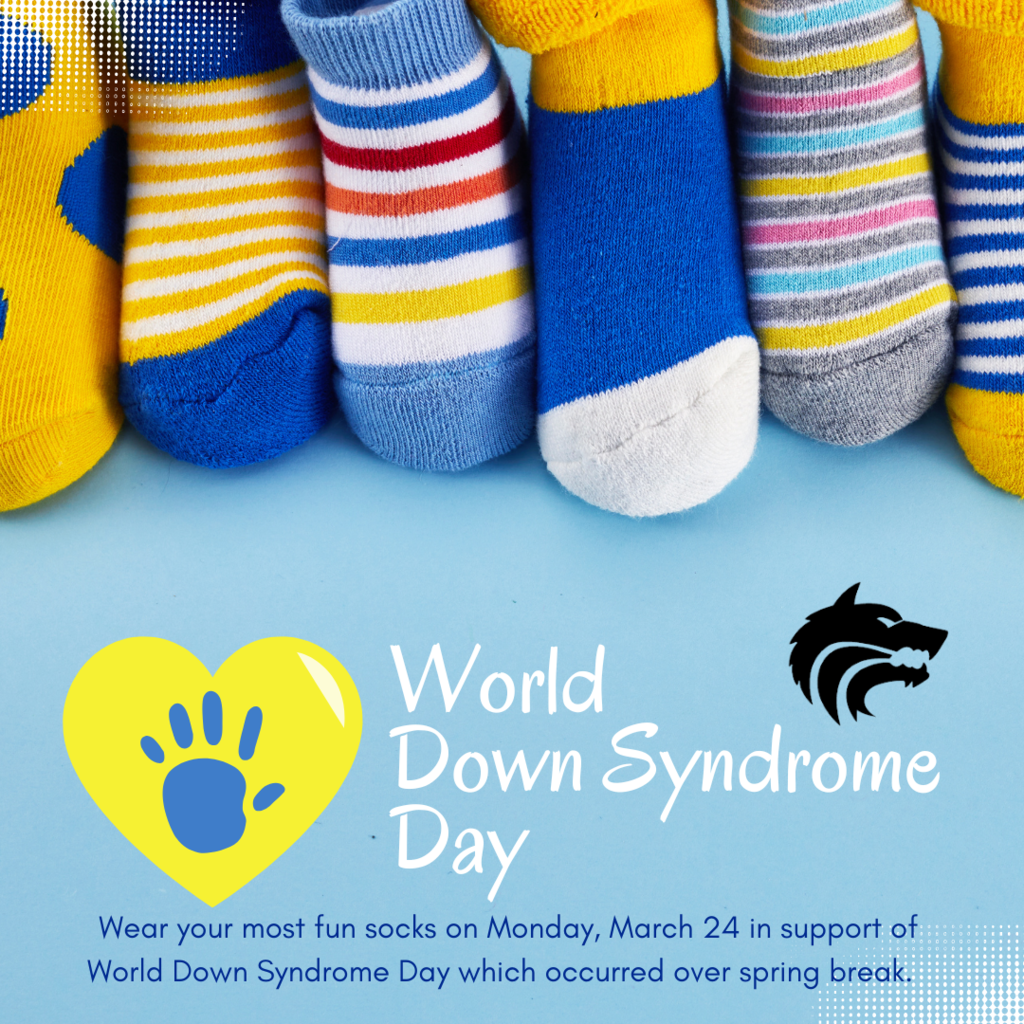 Fun socks for WDSD