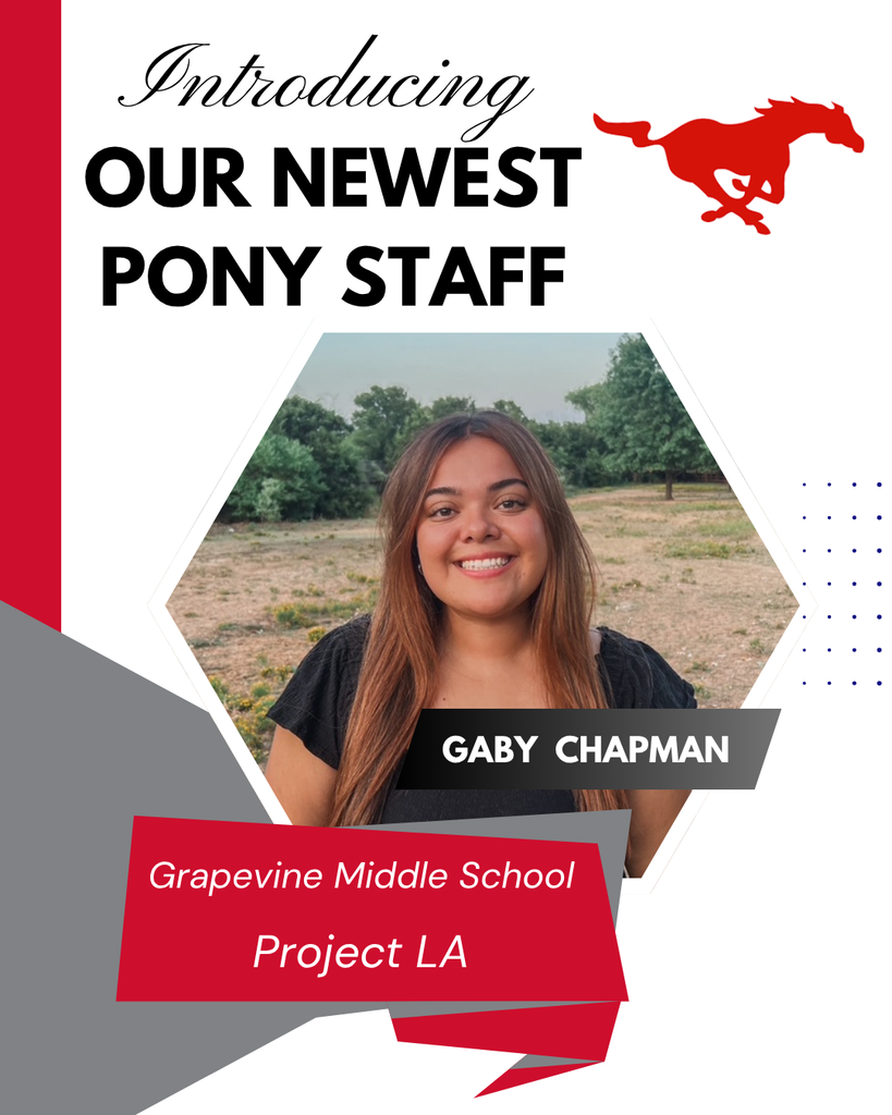 Meet our newest Pony Staff: Gaby Chapman– GMS Project LA! 🐴📚