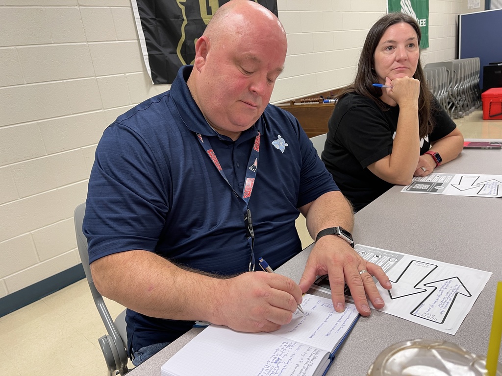 Teachers at professional learning