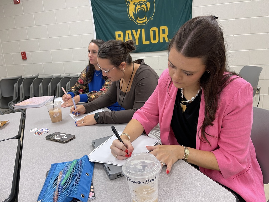 Teachers at professional learning