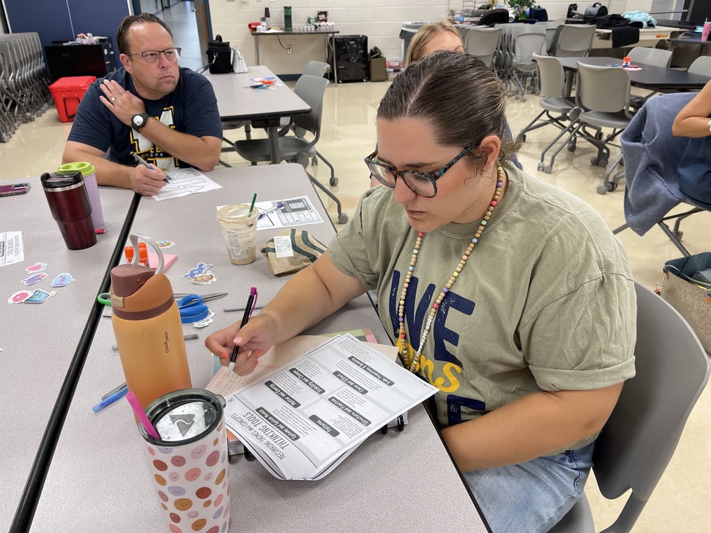 Teachers at professional learning