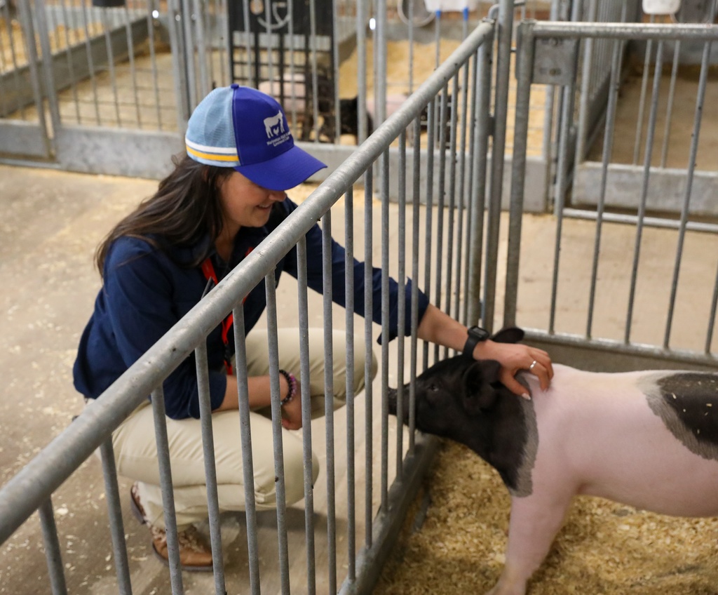 Piglet Ag Building Photo