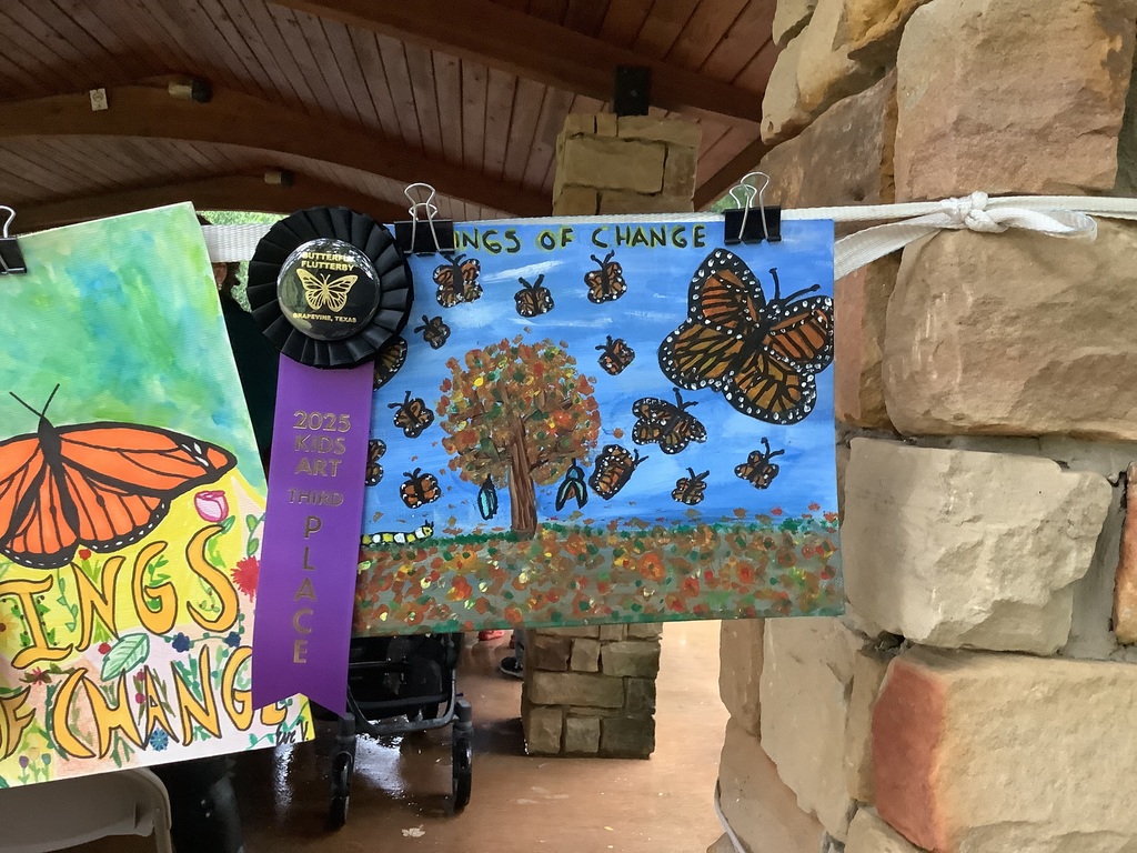 Butterfly art with a 3rd place ribbon