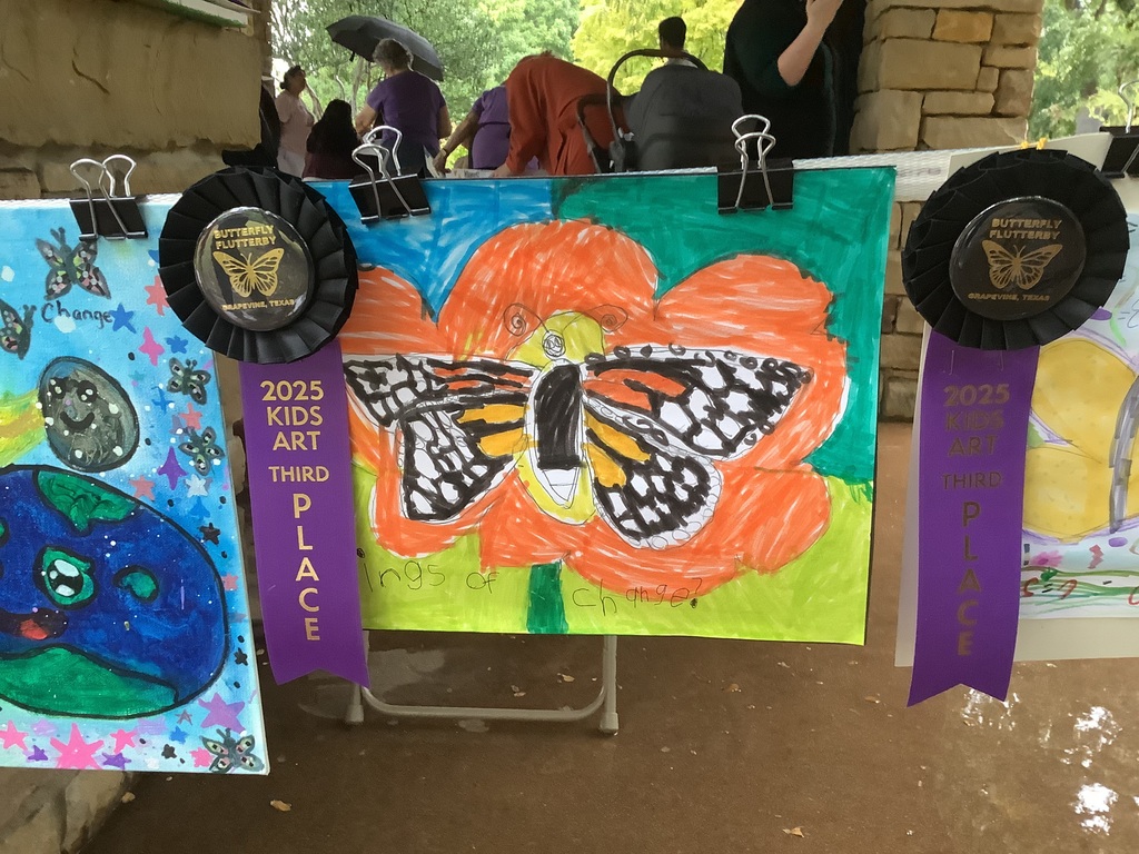 Butterfly art with a 3rd place ribbon