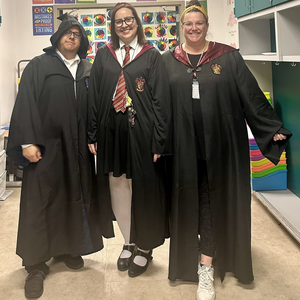 Aspire Harry Potter Day