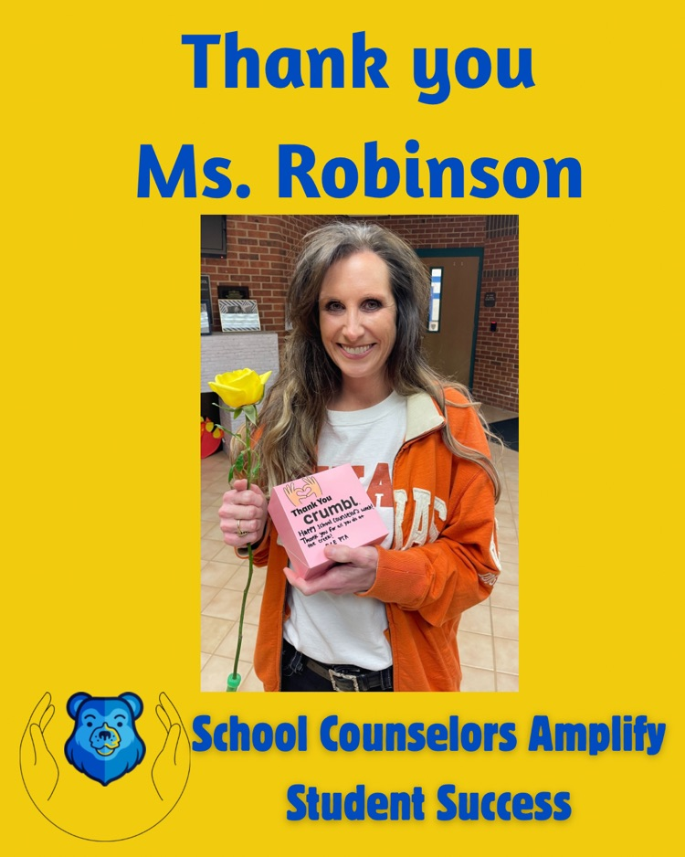 school counselor picture