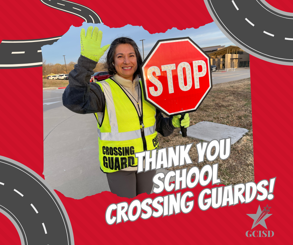 Picture of School Crossing Guard