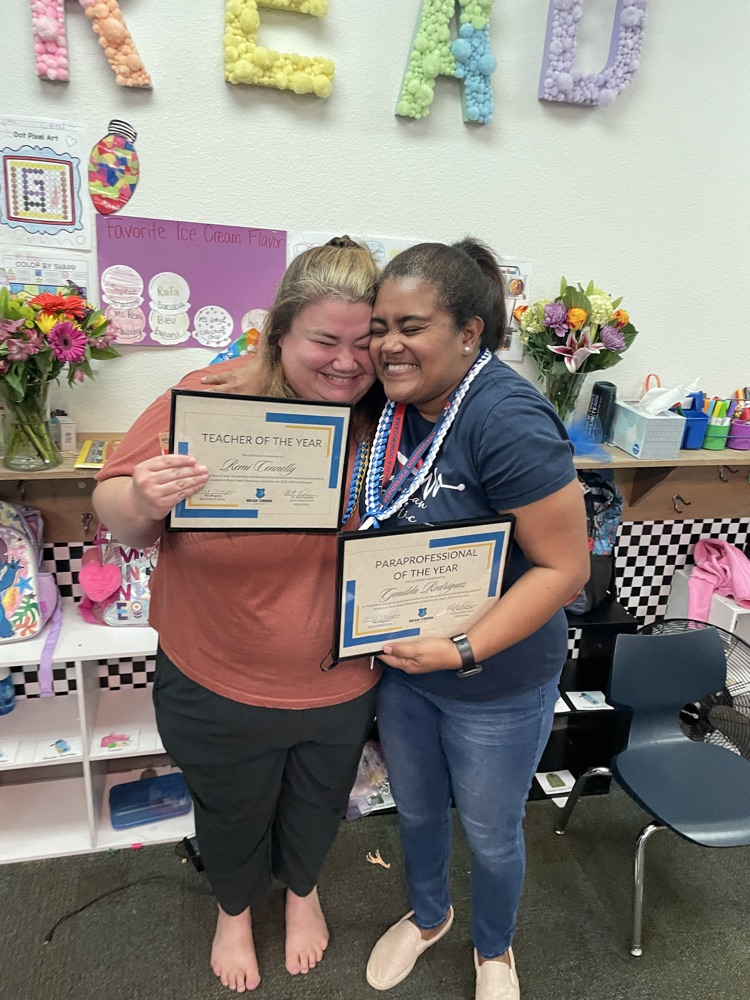 teacher and paraprofessional 