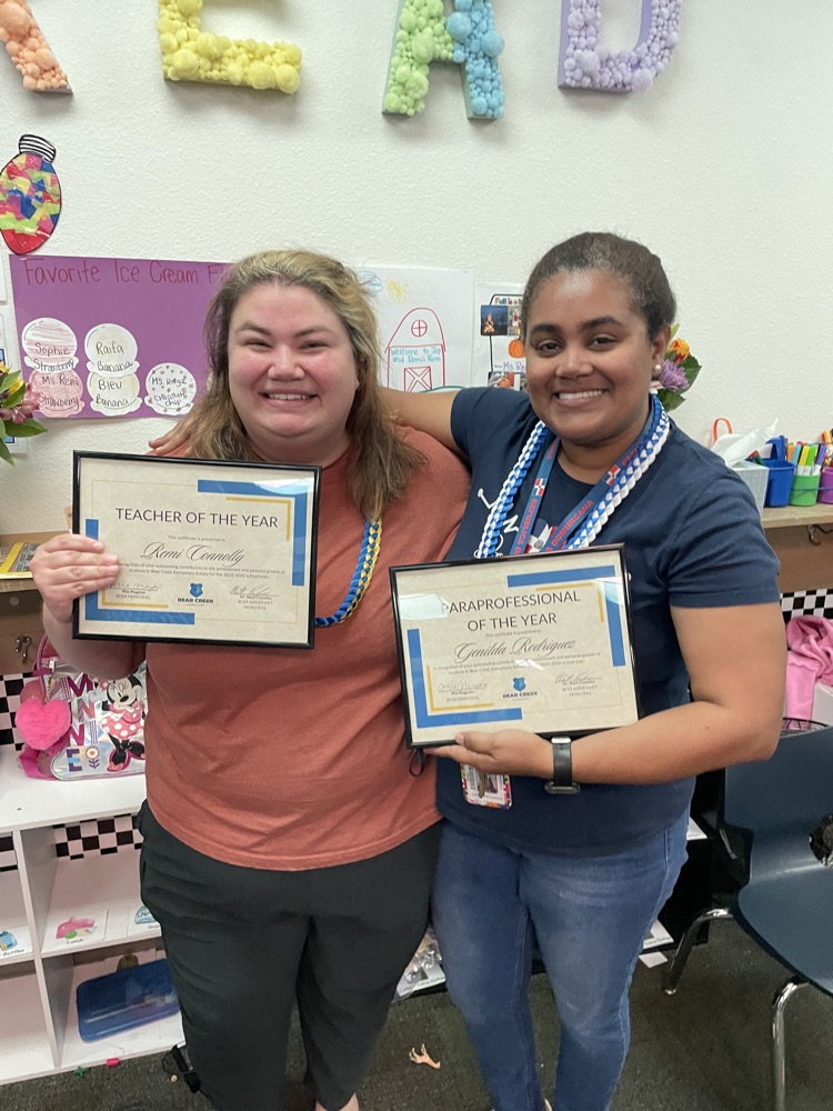 teacher and paraprofessional 