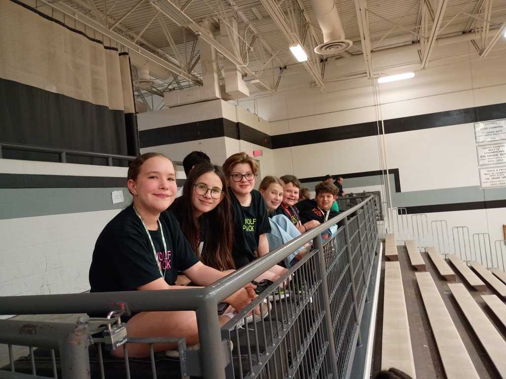 students at the basketball game