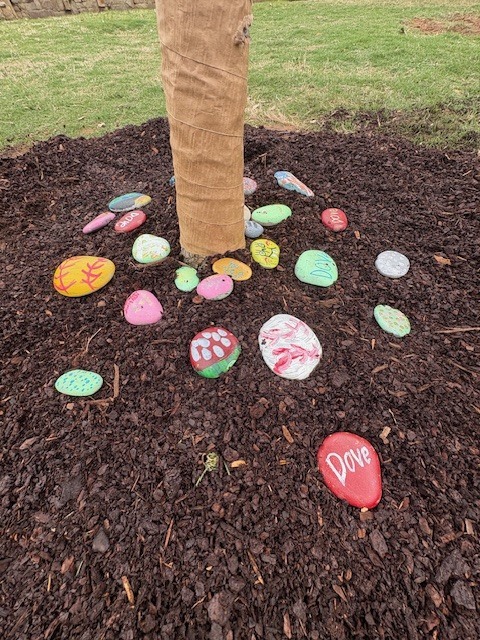 Kindness rocks at the base of the Dove Legacy tree