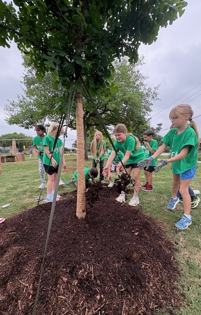 Garden Club members planting