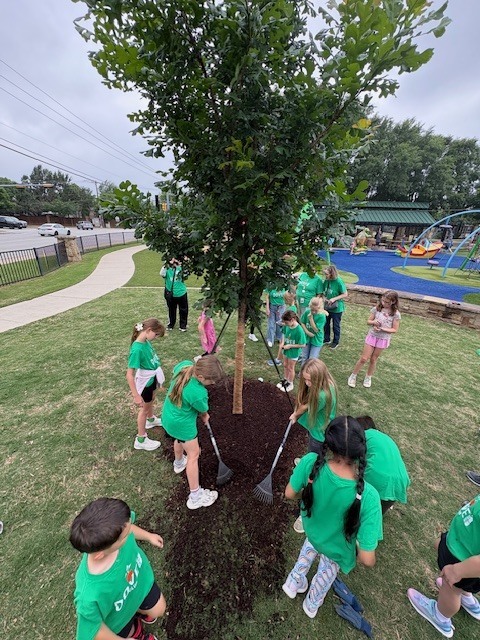 STudents planting the Dove Legacy Tree