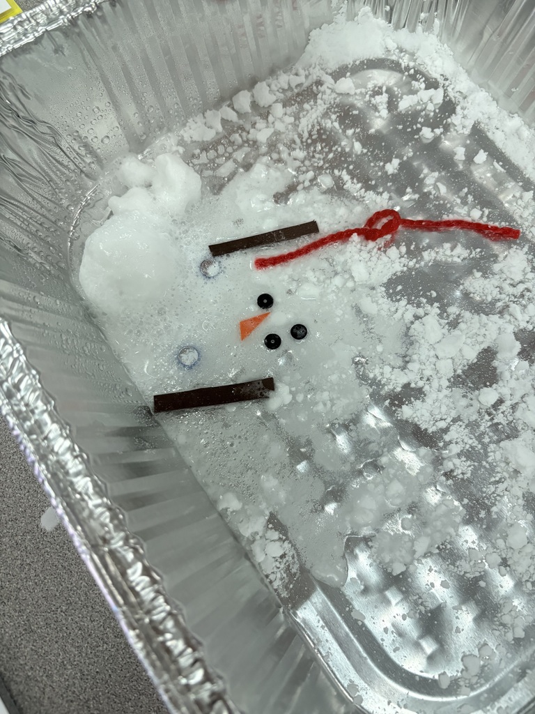 Melted snowman in a puddle